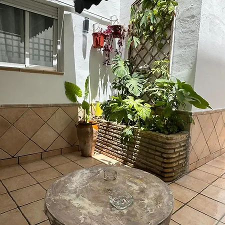 Panther Pureza Apartament Sewilla